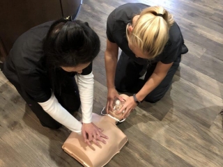 Our students practicing adult CPR with 2 rescuers.